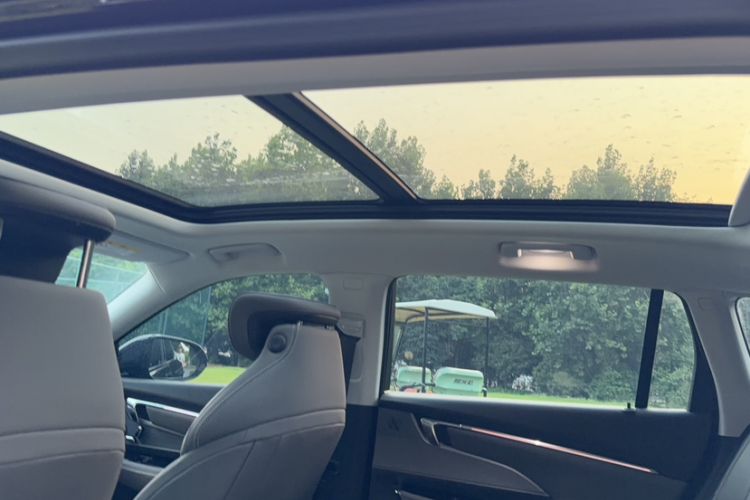 Used Buick E5 2023 Zhenxiang Standard Range Edition Headliner
