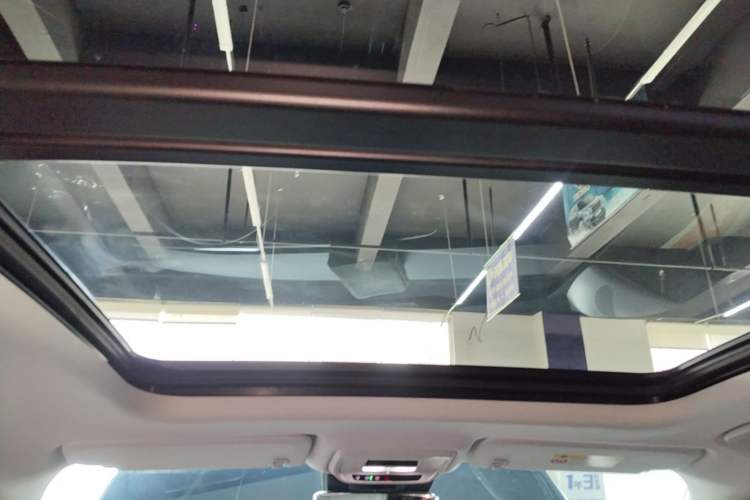 Used Buick E5 2023 Zhenxiang Standard Range Edition Headliner