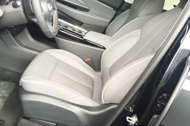Used Buick E5 2023 Zhenxiang Standard Range Edition Left Front Seat