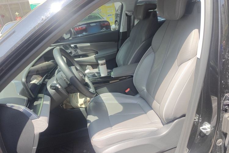 Used Buick E5 2023 Zhenxiang Standard Range Edition Left Front Seat