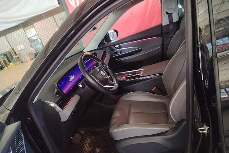 Used Buick E5 2023 Zhenxiang Standard Range Edition Left Front Seat