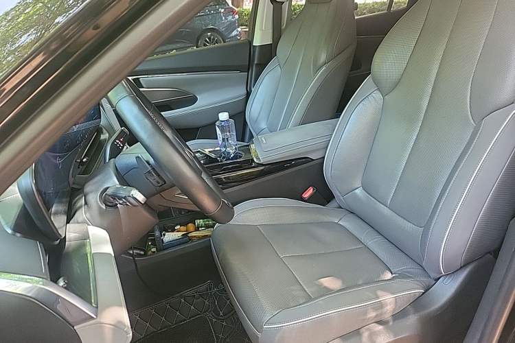Used Buick E5 2023 Zhenxiang Standard Range Edition Left Front Seat