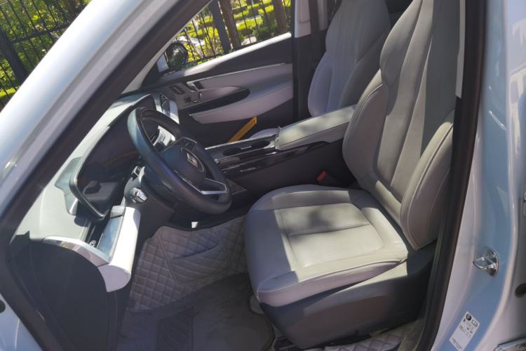 Used Buick E5 2023 Zhenxiang Standard Range Edition Left Front Seat