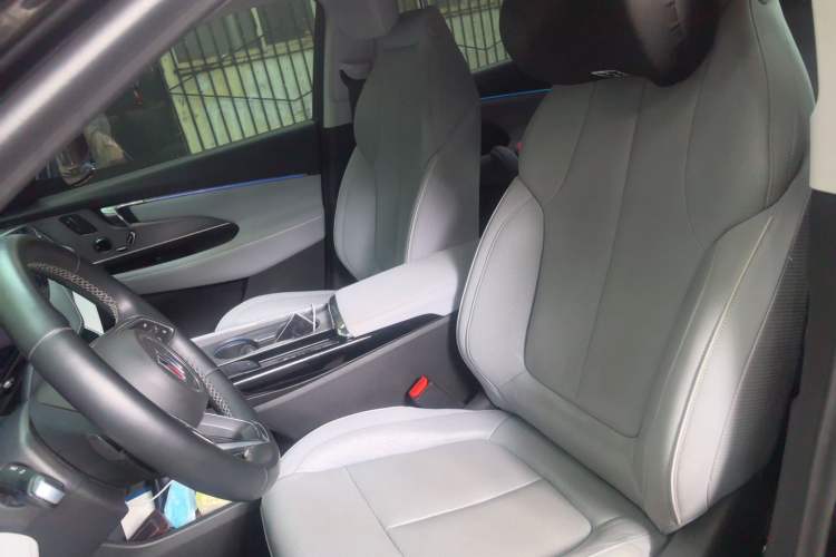 Used Buick E5 2023 Zhenxiang Standard Range Edition Left Front Seat
