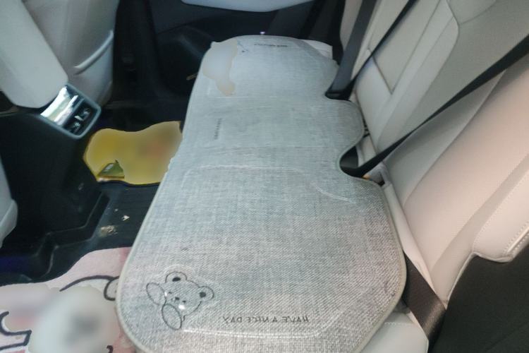 Used Buick E5 2023 Zhenxiang Standard Range Edition Left Rear Seat