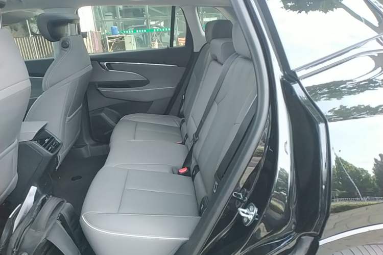 Used Buick E5 2023 Zhenxiang Standard Range Edition Left Rear Seat