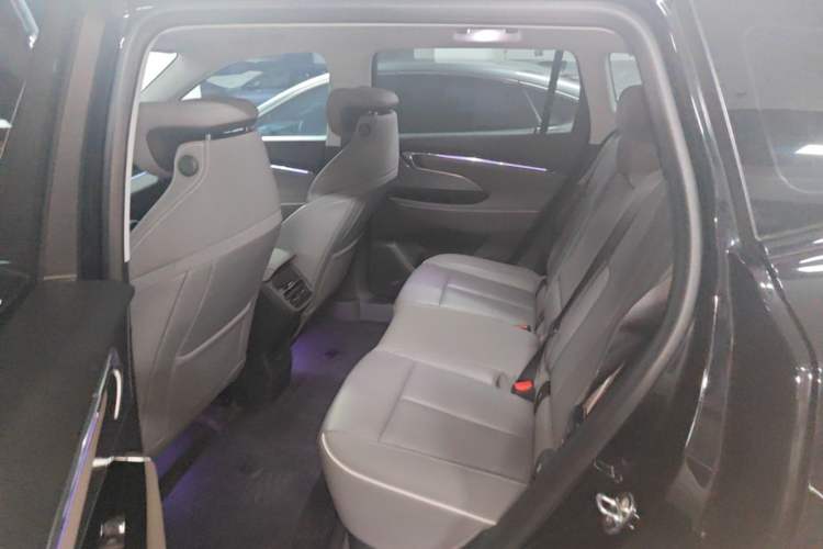 Used Buick E5 2023 Zhenxiang Standard Range Edition Left Rear Seat