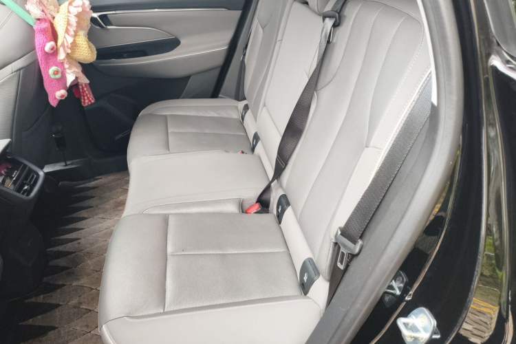 Used Buick E5 2023 Zhenxiang Standard Range Edition Left Rear Seat