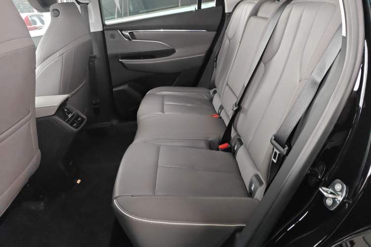 Used Buick E5 2023 Zhenxiang Standard Range Edition Left Rear Seat