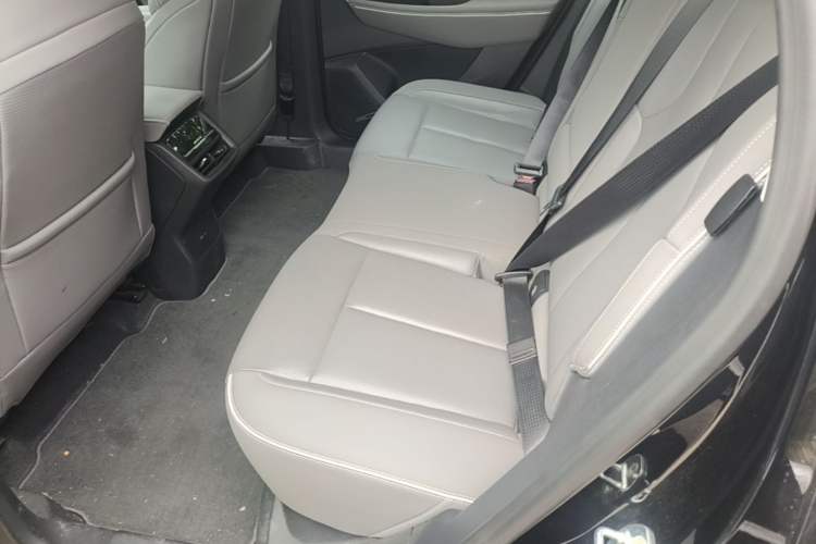 Used Buick E5 2023 Zhenxiang Standard Range Edition Left Rear Seat