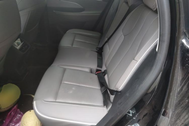 Used Buick E5 2023 Zhenxiang Standard Range Edition Left Rear Seat