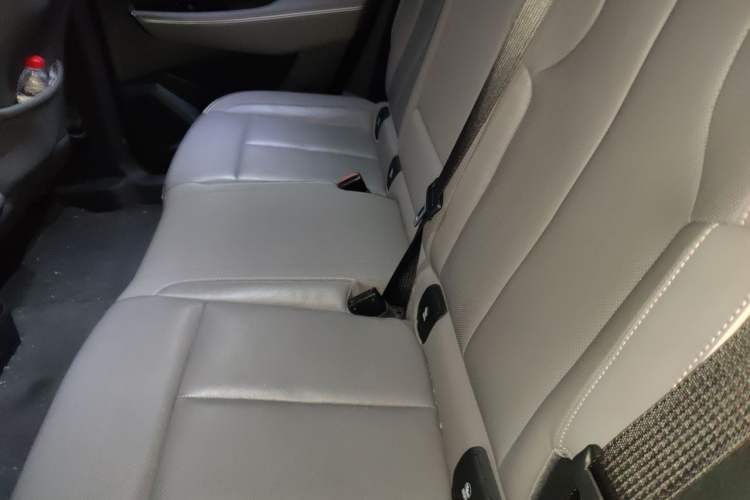 Used Buick E5 2023 Zhenxiang Standard Range Edition Left Rear Seat