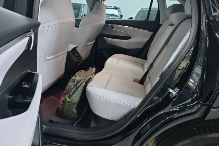 Used Buick E5 2023 Zhenxiang Standard Range Edition Left Rear Seat