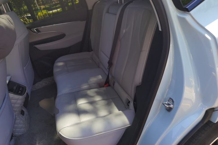 Used Buick E5 2023 Zhenxiang Standard Range Edition Left Rear Seat