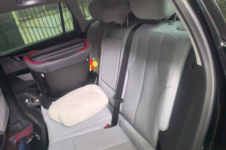Used Buick E5 2023 Zhenxiang Standard Range Edition Left Rear Seat