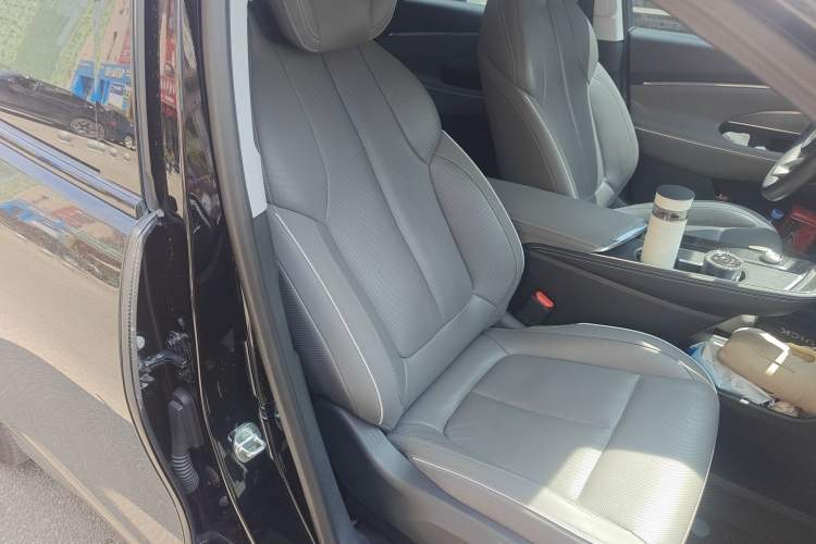 Used Buick E5 2023 Zhenxiang Standard Range Edition Right Front Seat