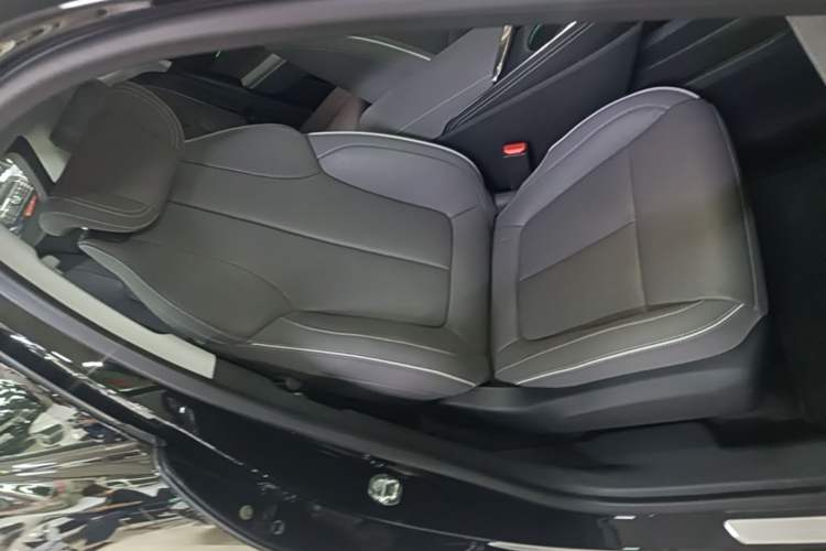 Used Buick E5 2023 Zhenxiang Standard Range Edition Right Front Seat