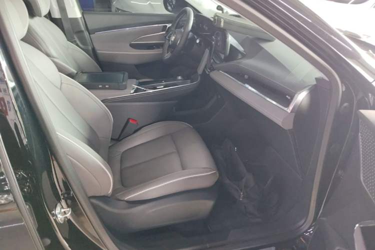 Used Buick E5 2023 Zhenxiang Standard Range Edition Right Front Seat