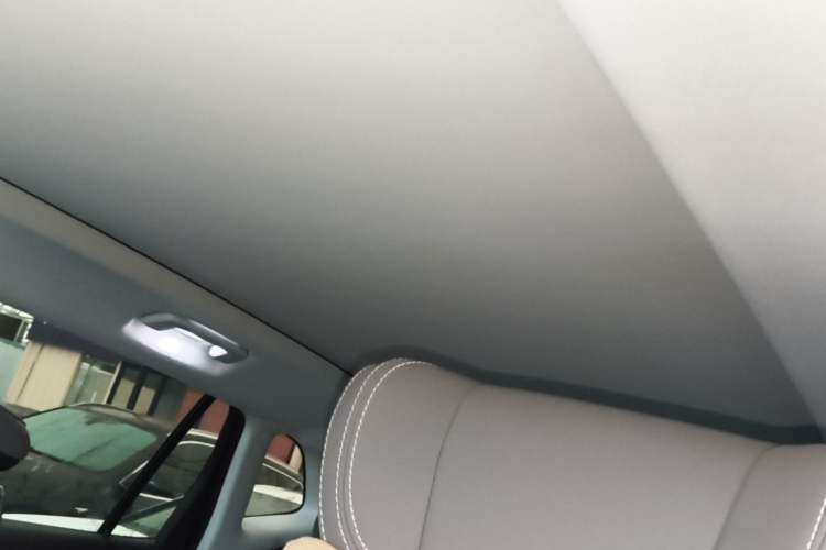Used Buick E5 2023 Zhenxiang Standard Range Edition Headliner