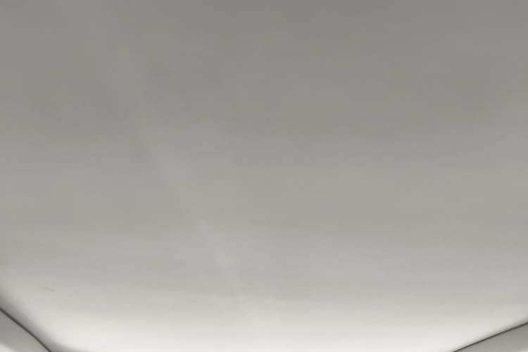 Used Buick E5 2023 Zhenxiang Standard Range Edition Headliner