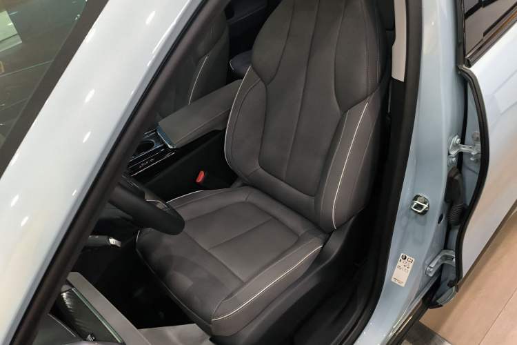 Used Buick E5 2023 Zhenxiang Standard Range Edition Left Front Seat