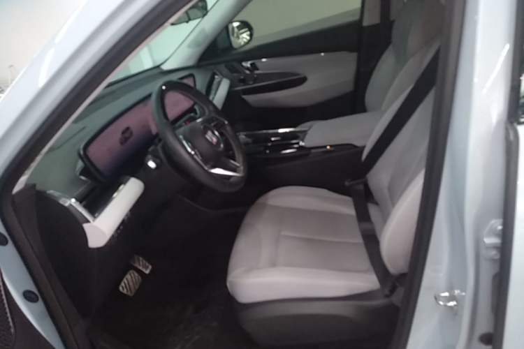 Used Buick E5 2023 Zhenxiang Standard Range Edition Left Front Seat