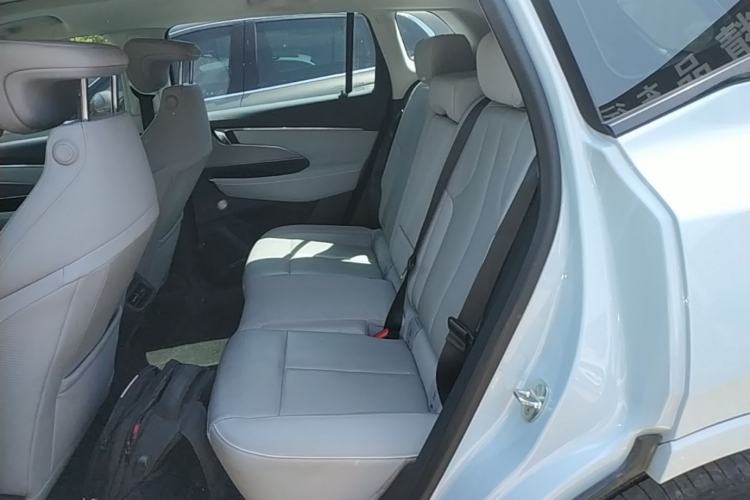 Used Buick E5 2023 Zhenxiang Standard Range Edition Left Rear Seat