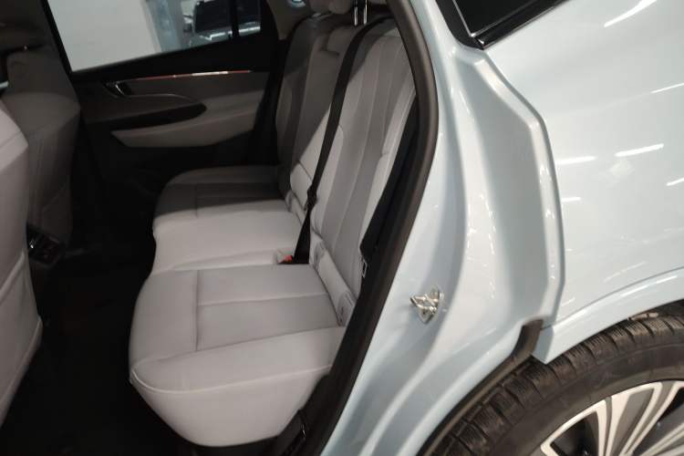 Used Buick E5 2023 Zhenxiang Standard Range Edition Left Rear Seat