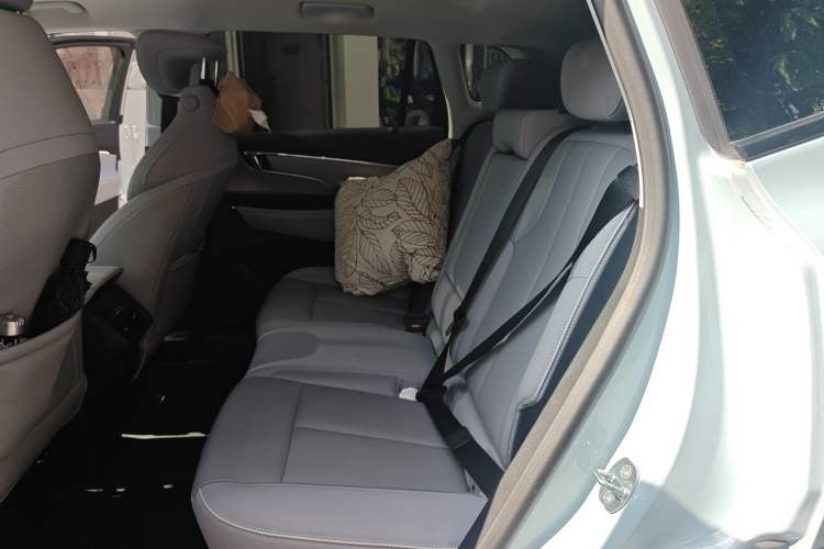 Used Buick E5 2023 Zhenxiang Standard Range Edition Left Rear Seat
