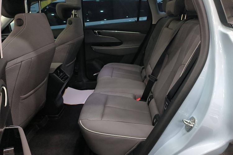 Used Buick E5 2023 Zhenxiang Standard Range Edition Left Rear Seat