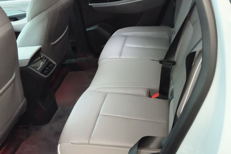 Used Buick E5 2023 Zhenxiang Standard Range Edition Left Rear Seat
