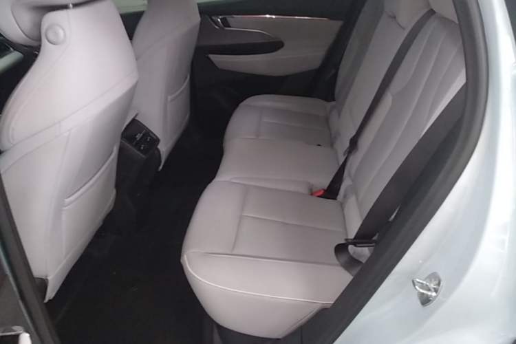 Used Buick E5 2023 Zhenxiang Standard Range Edition Left Rear Seat