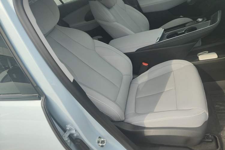 Used Buick E5 2023 Zhenxiang Standard Range Edition Right Front Seat