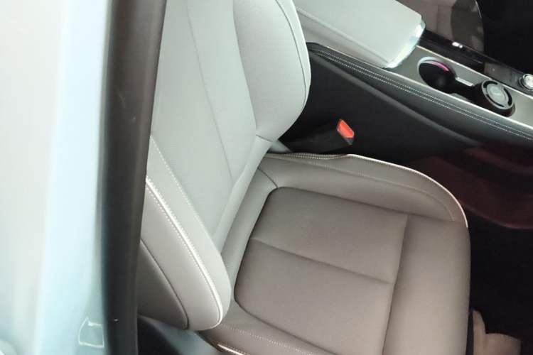 Used Buick E5 2023 Zhenxiang Standard Range Edition Right Front Seat