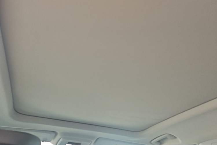 Used Buick E5 2023 Zhenxiang Standard Range Edition Headliner