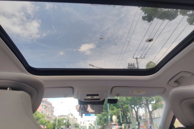 Used Buick E5 2023 Zhenxiang Standard Range Edition Headliner