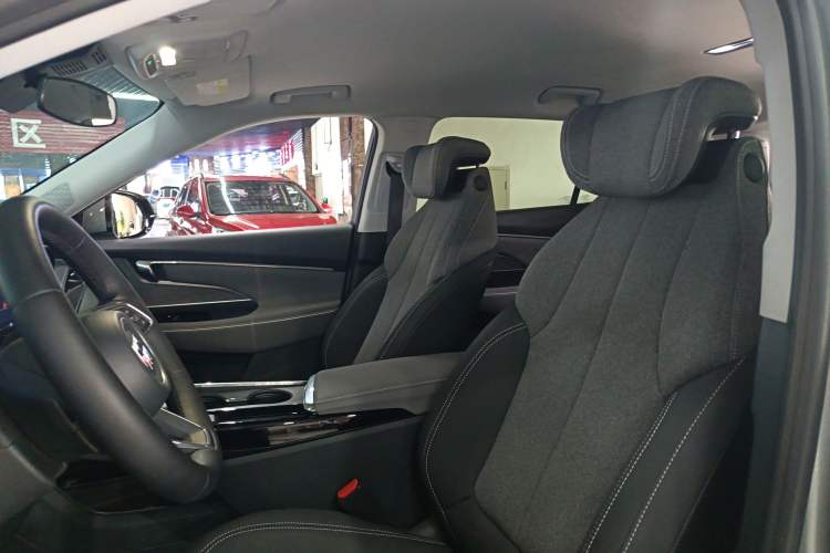 Used Buick E5 2023 Pioneer Edition Headliner