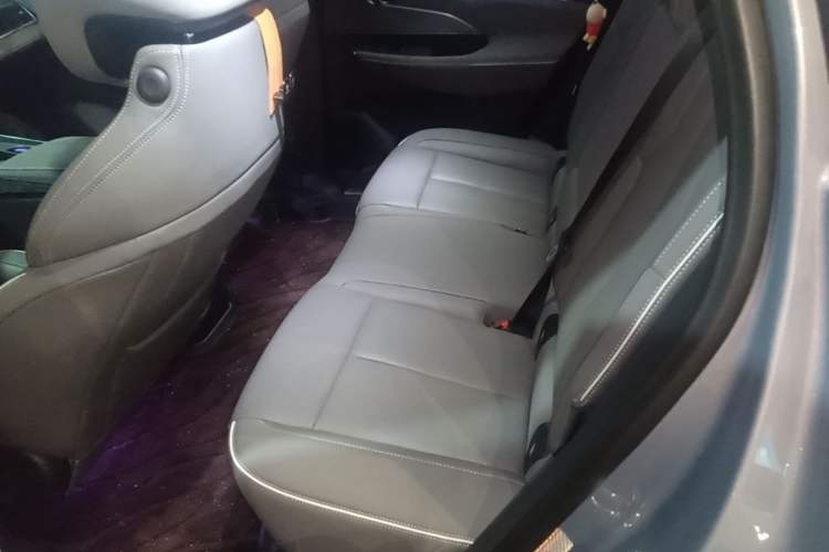 Used Buick E5 2023 Zhenxiang Standard Range Edition Left Rear Seat