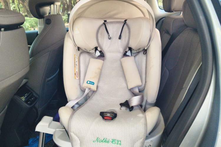 Used Buick E5 2023 Zhenxiang Standard Range Edition Left Rear Seat