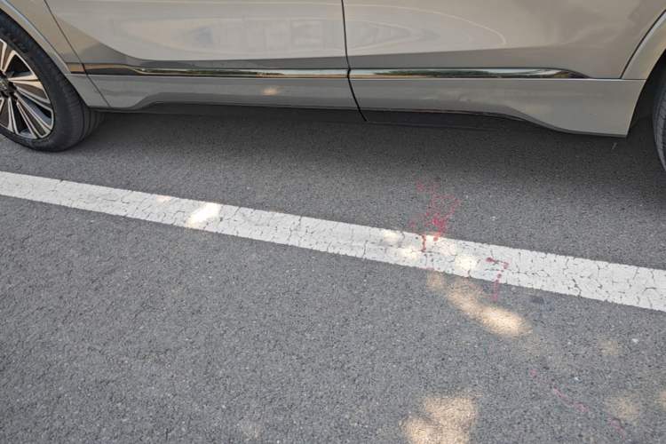 Used Buick E5 2023 Zhenxiang Standard Range Edition Left Side Sill