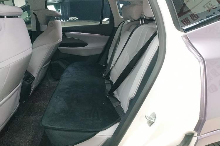 Used Buick E5 2023 Zhenxiang Standard Range Edition Left Rear Seat