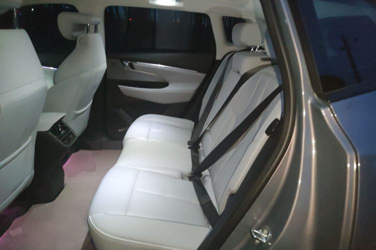 Used Buick E5 2023 Zhixiang Standard Range Edition Left Rear Seat