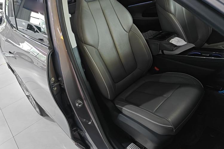 Used Buick E5 2023 Zhenxiang Standard Range Edition Right Front Seat