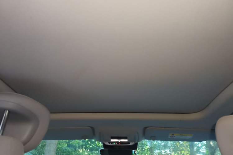 Used Buick E5 2023 Zhenxiang Standard Range Edition Headliner