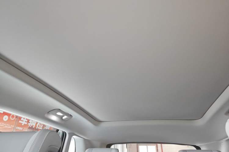Used Buick E5 2023 Zhenxiang Standard Range Edition Headliner