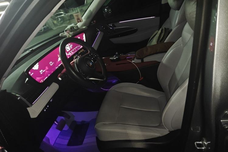 Used Buick E5 2023 Zhenxiang Standard Range Edition Left Front Seat