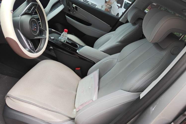 Used Buick E5 2023 Zhenxiang Standard Range Edition Left Front Seat
