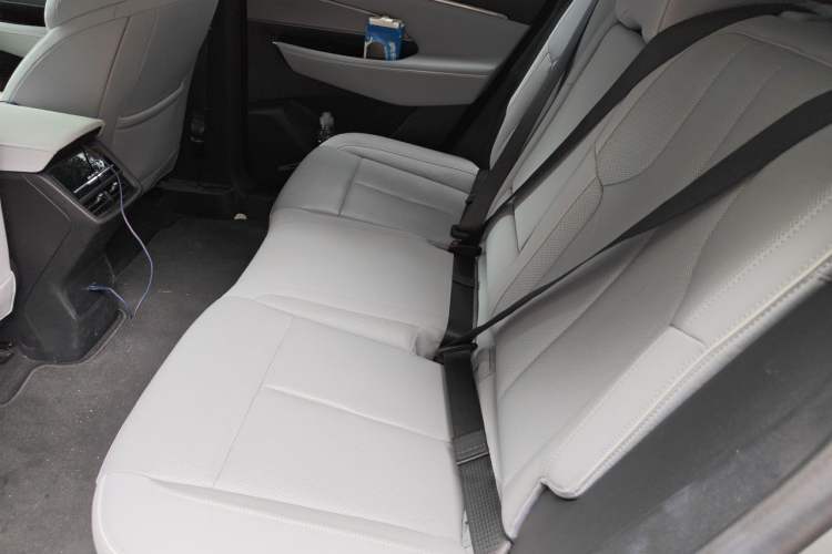 Used Buick E5 2023 Zhenxiang Standard Range Edition Left Rear Seat