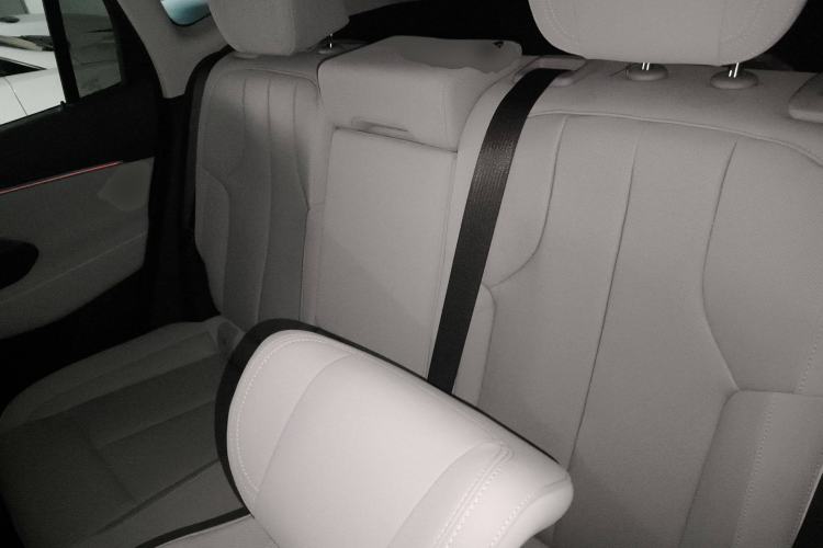Used Buick E5 2023 Zhenxiang Standard Range Edition Left Rear Seat
