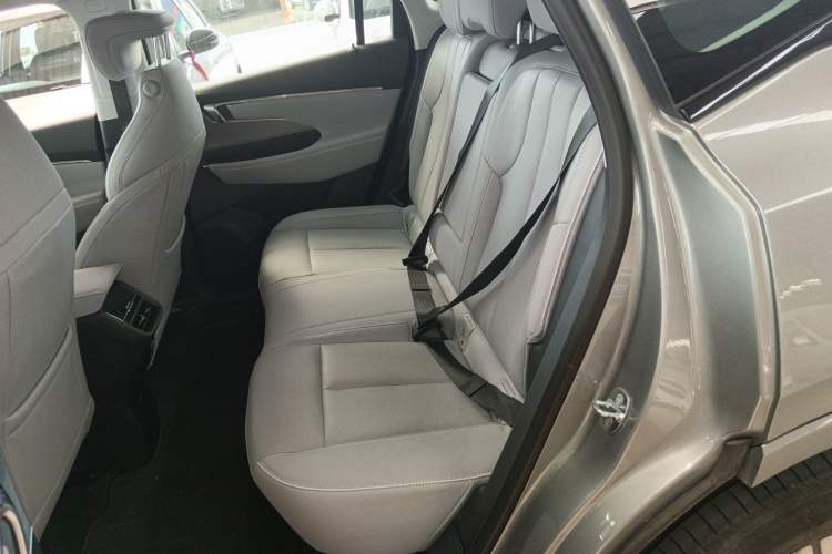 Used Buick E5 2023 Zhenxiang Standard Range Edition Left Rear Seat